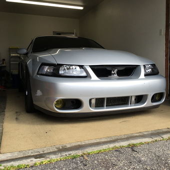 Silver Mustang in Clean Garage with Lighting - The_wheat from Spartanburg, Sc