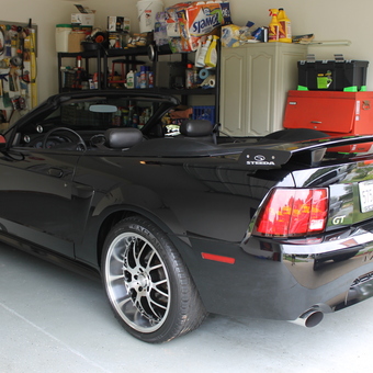 Organized Garage with Tools, Cabinets, Mustang GT - Steeda from Taylors, South Carolina