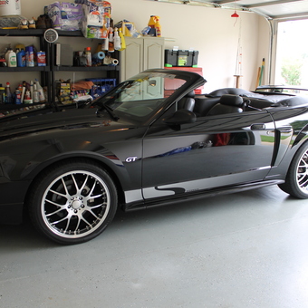 Organized Garage with Black Convertible and Storage Shelves - Steeda from Taylors, South Carolina