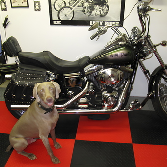Garage with Harley Motorcycle and Red Tile Floor - Greg from Cumming, GA