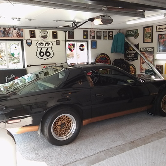 Classic Trans Am and Wall Signs in Garage - Blackgold from Schwenksville, Pennsylvania