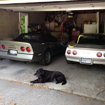 Corvettes in Organized Garage with Tool Storage - dkalling from Niles, MI