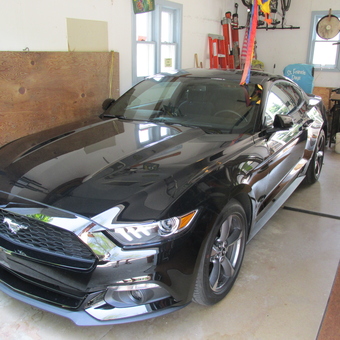 Black Mustang in Organized Garage with Tools - Adam from Saint Francis, WI