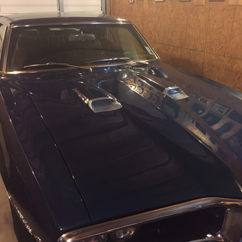 Classic Firebird in Wood Panel Garage with Wall Plaques - Randal from Thibodaux