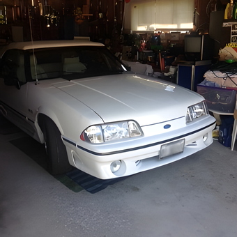 Organized Garage With Classic Car and Storage Solutions - Jim from Montgomery, Illinois