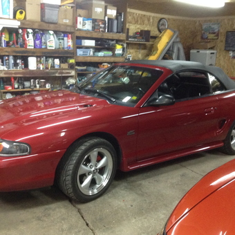 Red Convertible Mustang in Organized Garage - copper red from Moncton, New Brunswick