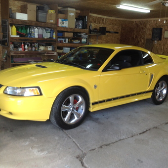 Organized garage with yellow Mustang and wall shelving - copper red from Moncton, New Brunswick