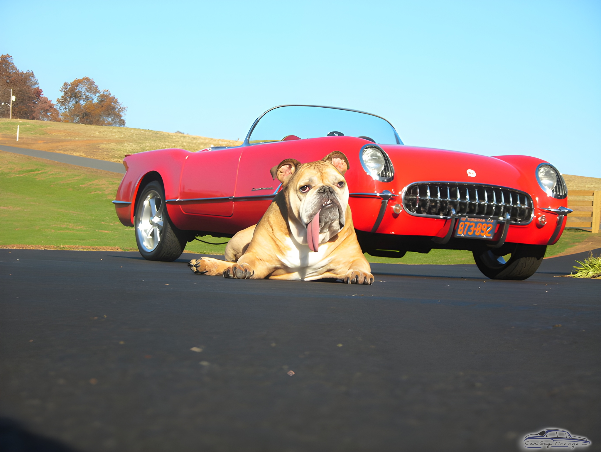 Classic Red Convertible with Bulldog on Driveway - Cisco from Aroda, VA
