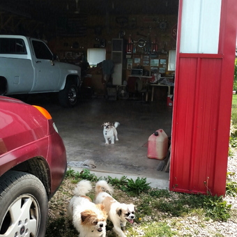 Spacious garage with truck, trophies, and tools - Kevin from Lafarge, WI