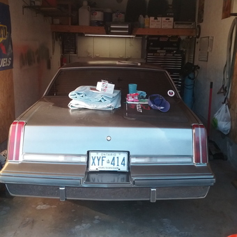 Classic car and organized garage storage shelves - Mike from Oshawa, Ontario
