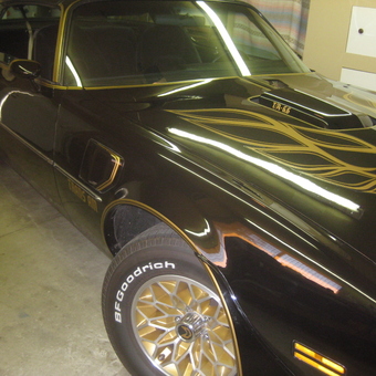 Classic Black Pontiac Trans Am in Garage - Paul from Yuba City, CA
