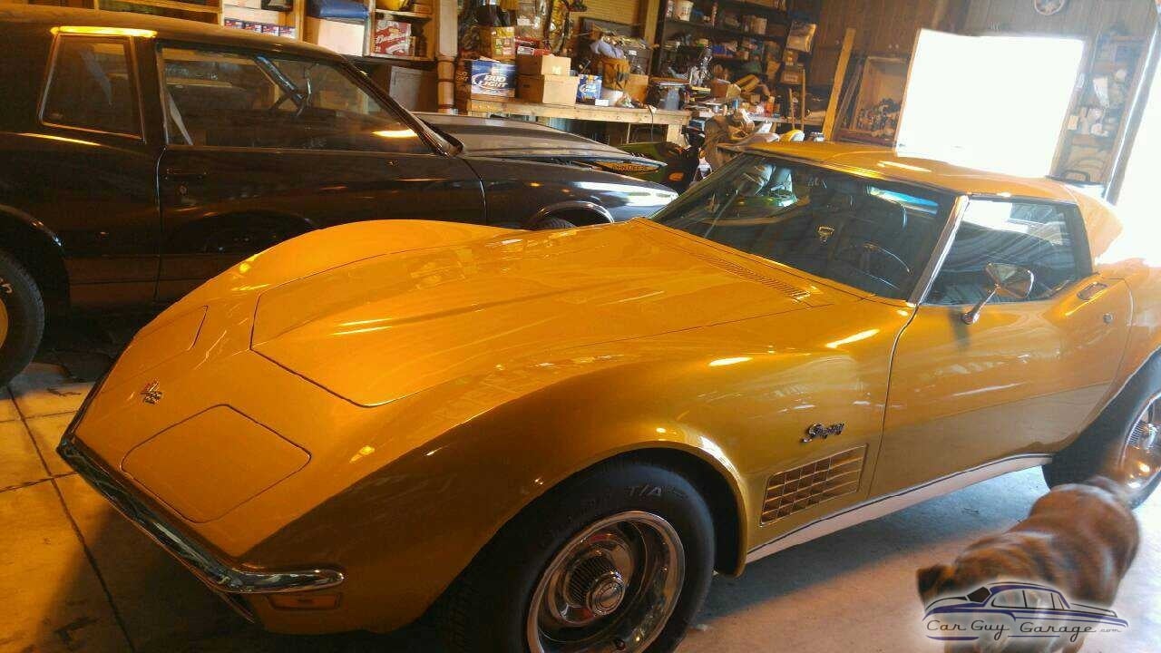 Vette Girl from Fort Wayne, IN