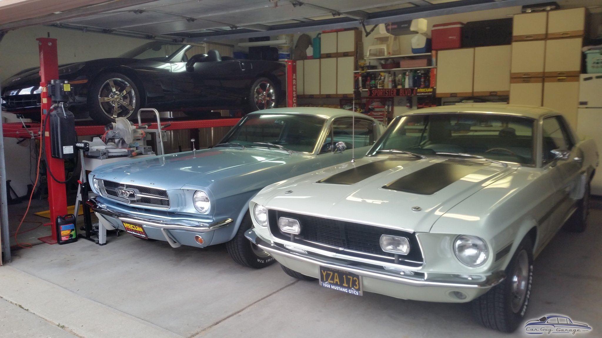Two Ponies from Shelby Twp., Michigan