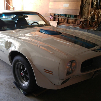 Classic White Pontiac Trans Am in Organized Garage - GARY A TROMBINO from CENTEREACH, New York