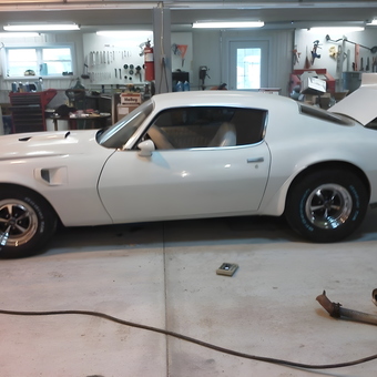Classic White Muscle Car in Well-Equipped Garage - Greg from Clarks, Nebraska