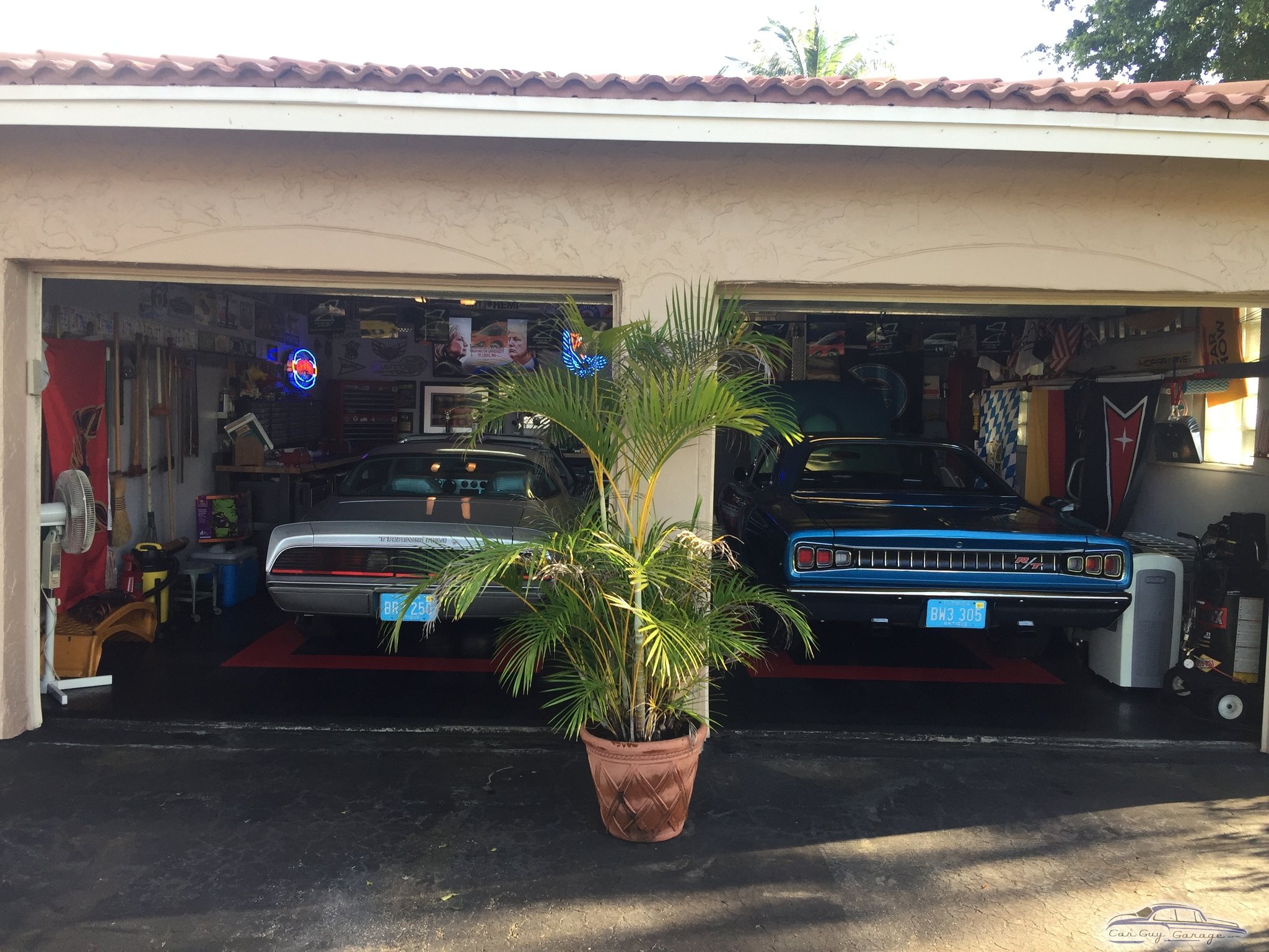 Wally - Coral Springs, Florida from Coral Springs, Florida