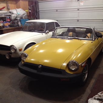 Classic Convertibles and Garage Storage Solutions - Dean from Darien, IL