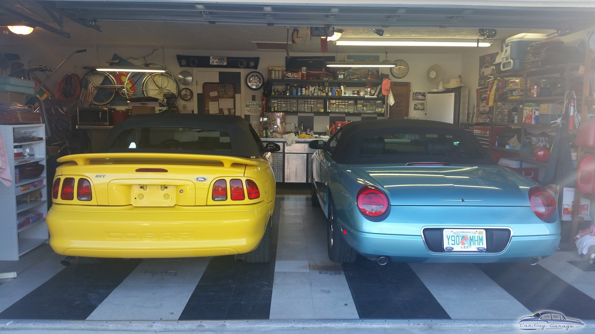 Mustangmad1 from Cape Coral, Fl.
