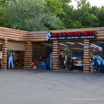 Log Cabin Style Auto Garage with Bear Murals - Black Bear Auto from Bristol, CT