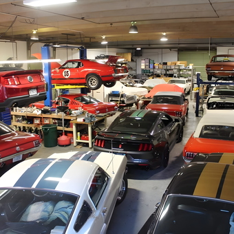Classic and Modern Mustangs in Spacious Garage - Gregory Procaccini from Woodbridge, VA