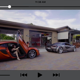 Luxury Garage with Exotic Cars and Decor - Steve from Scottsdale, AZ