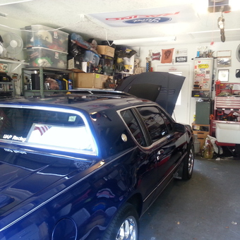 Organized garage with storage shelves and tool chest - Hugh Lannon from PALM HARBOR, FLORIDA