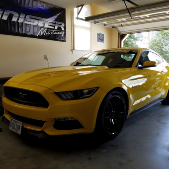 Yellow Ford Mustang GT in Personalized Garage - Latrry from Gloucester, VA