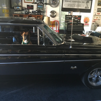 Classic Car Garage Decor with Wall Art and Tools - Chris
