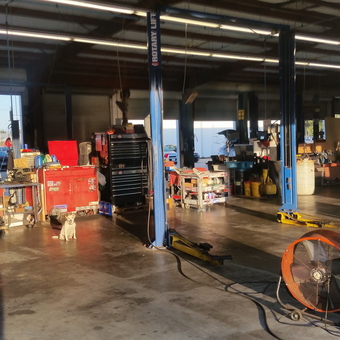 Organized Garage With Tool Chests, Car Lifts, and Fans - Shannon from Moss Point, Mississippi