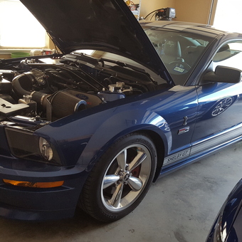 Blue Shelby GT Mustang in Garage with Tools - Michael from Marble Falls, Texas