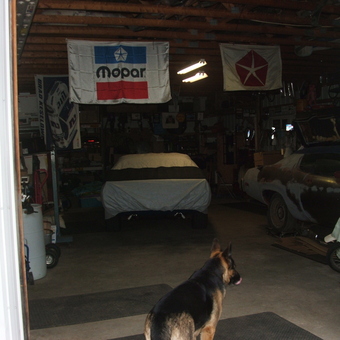 Classic Car Garage With Mopar Decor and Dog - Tad from Dorr, Michigan
