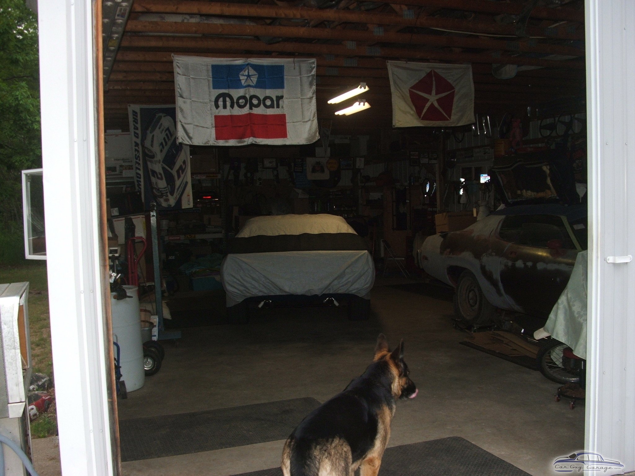 Tad from dorr, michigan