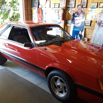 Classic Red Mustang GT and Racing Decor - James from Ionia, Michigan