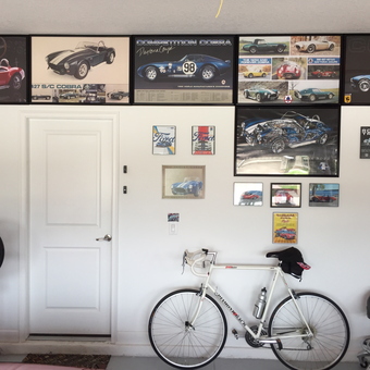 Cobra Car Wall Art and Garage Decor Display - Sandman from Clermont, Florida