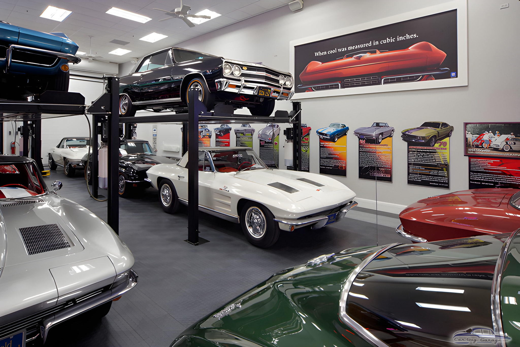 Classic Car Garage with Car Lift and Wall Art - Dave from Longwood, FL
