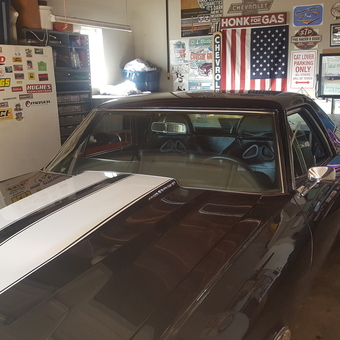 Classic car, tools, and wall decor in organized garage - Roscoe/Easy Ellie from Escondido, Ca
