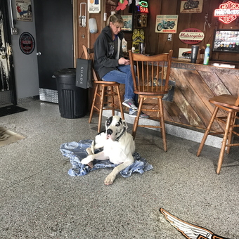 Garage Bar with Neon Signs, Harley Decor, and Dog - Rob