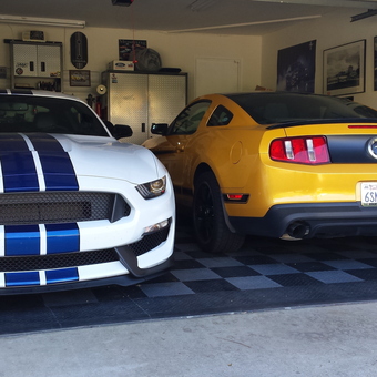 Mustangs in Checkered Garage with Cabinets and Wall Art - Ralph from Escondido, CA
