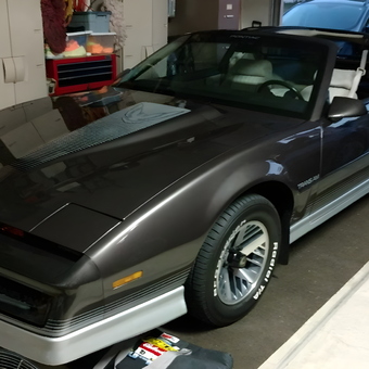 Garage with Pontiac Trans Am and Storage Cabinets - GAD-Brownstown MI from Brownstown, Michigan
