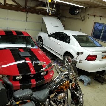 Garage With Two Ford Mustangs And Custom Motorcycle - Guy Brown from Woods Cross, UT