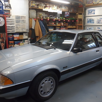 Organized Mustang Garage with Storage and Decor - ED-MOPAR from Ahoskie, NC