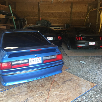 Mustang GTs Parked in Spacious Wooden Garage - Dollla Gun Kev from Mount Vernon, OH