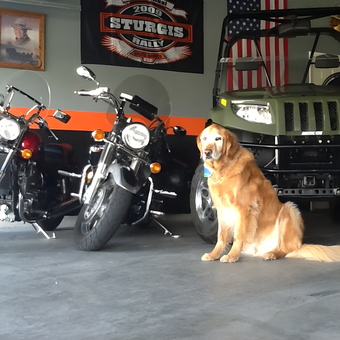 Motorcycles, Utility Vehicle, and Dog in Organized Garage - Shannon from Moorhead, MN