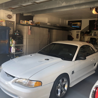 Organized Garage with White Mustang and Storage Cabinets - MrfiveO from Weston, FL