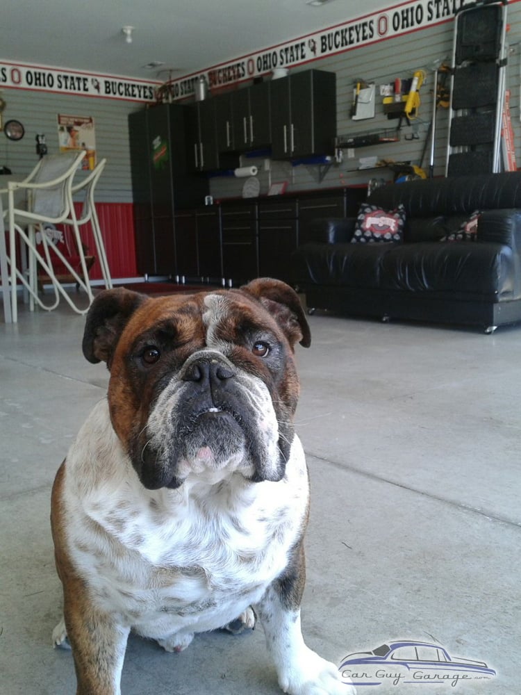 Jim (Chewy) from Lewistown, OH
