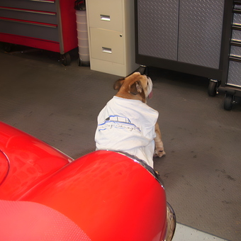 Garage Tool Cabinets and Red Car Fender - Cisco's Garage from Aroda, VA