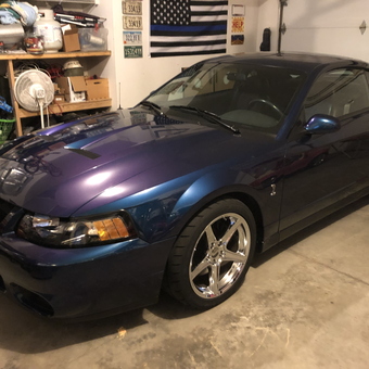 Organized garage with Mustang and storage shelves - Cole from Norwalk, IA