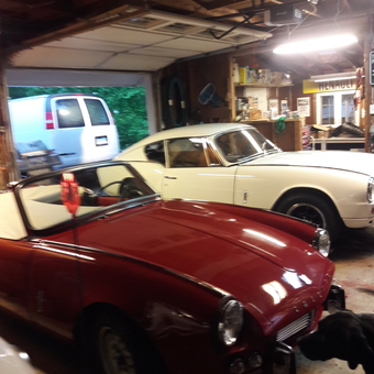 Classic Cars in Organized Garage with Shelving - Michael from Hamden, CT