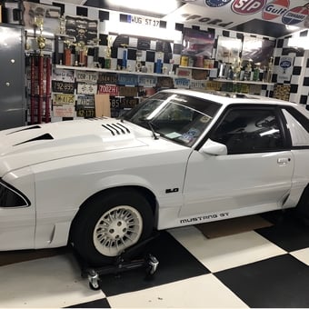 Mustang GT in Checkered Garage with License Plates - Lou from Little Ferry, NJ