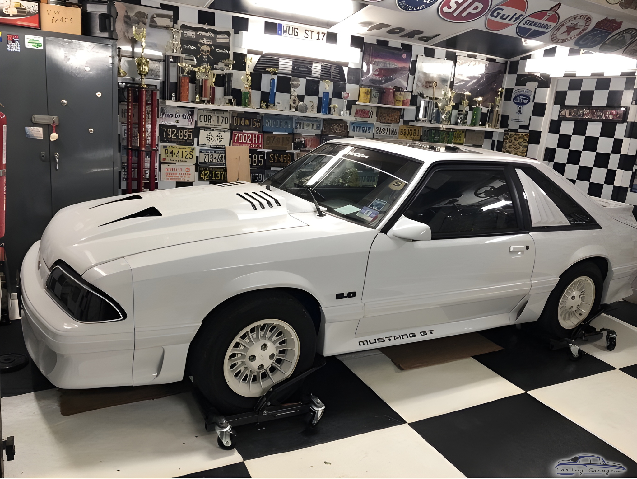 Mustang GT in Checkered Garage with License Plates - Lou from Little Ferry, NJ